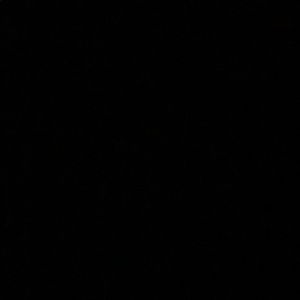 Meet your Posher, Leonard